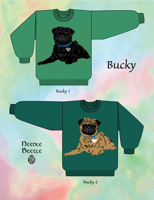 Bucky - Pug